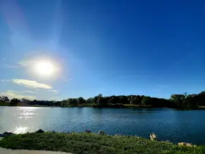 Central Park