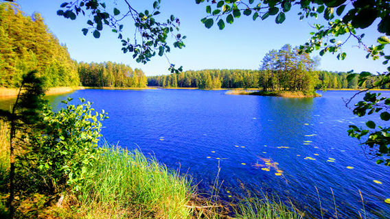 Runeberg's Mound - The Highest Point of the Ridge