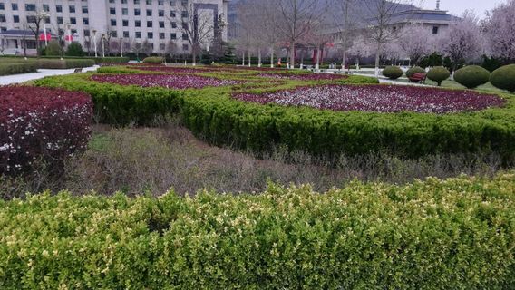 Xiqu Square