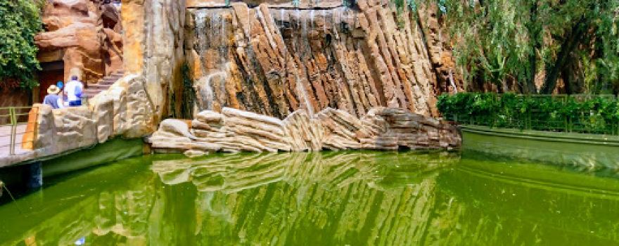 Ecological park
