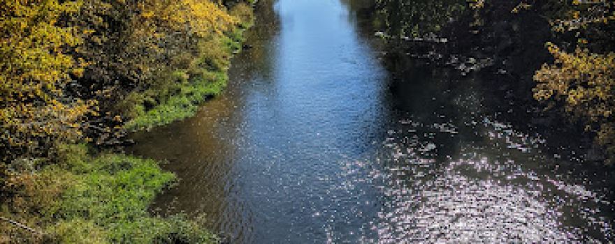 Fontana County Park