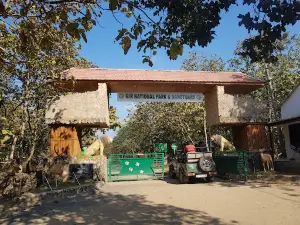 Gir Forest Check Post