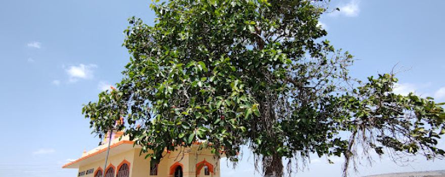 Satvai Devi Temple Shelkewadi