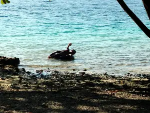 Simeulue
