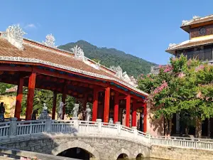 Đồi Hoa Tam Giác Mạch
