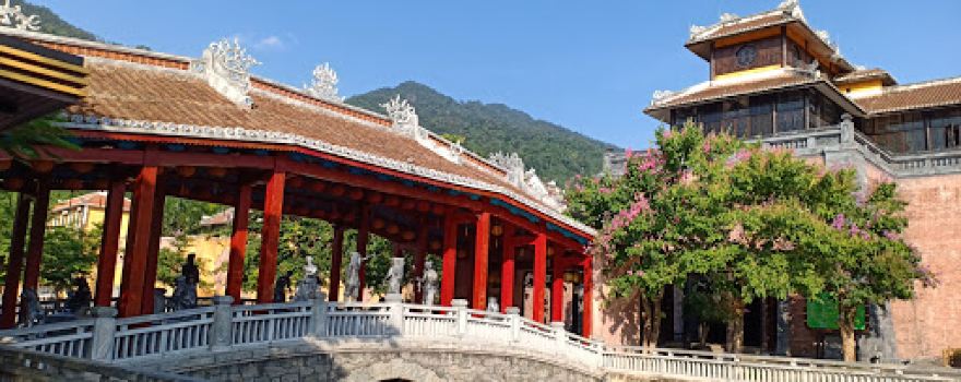 Đồi Hoa Tam Giác Mạch