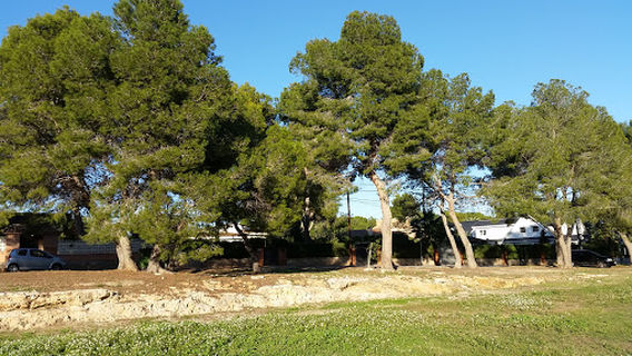 Camp Fútbol "El Plantío"