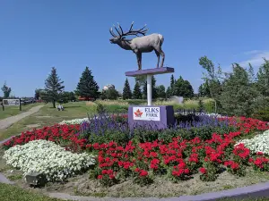 Vegreville Pysanka