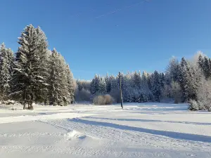 Лыжный клуб Шижма