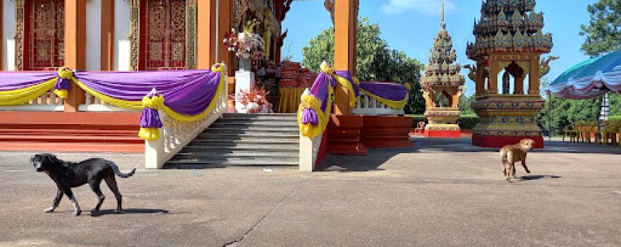 Wat Bunyarak