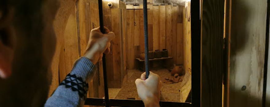 Captive Live Escape Game