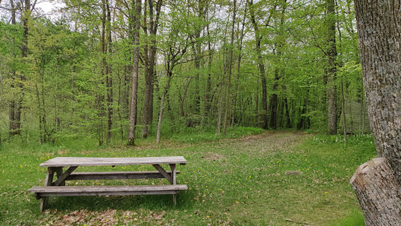 College of Wilderness Knowledge-Birch Bend Camp