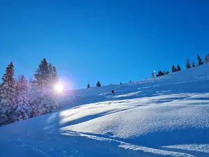 Spiazzi di Gromo