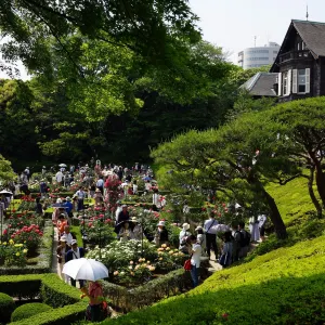 旧古河庭園