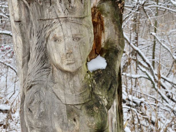 Overland Park Arboretum & Botanical Gardens