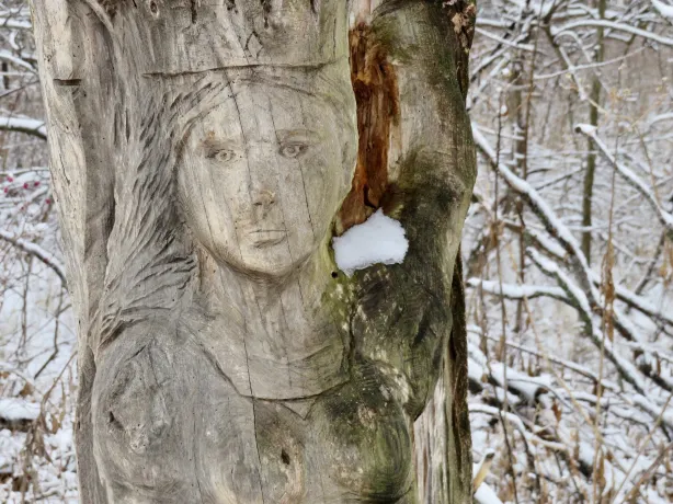 Overland Park Arboretum & Botanical Gardens