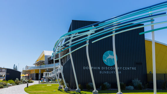 Dolphin Discovery Centre Bunbury