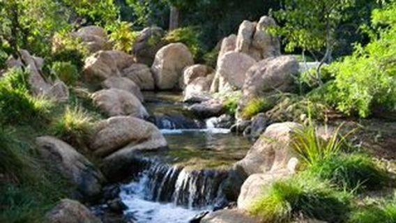 The Japanese Friendship Garden of Phoenix