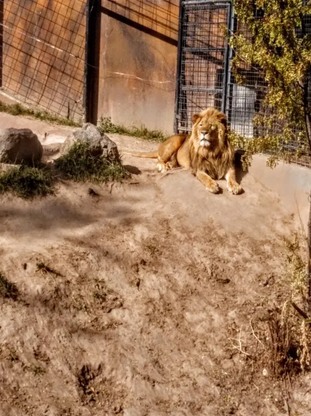 4_Idaho Falls Zoo at Tautphaus Park