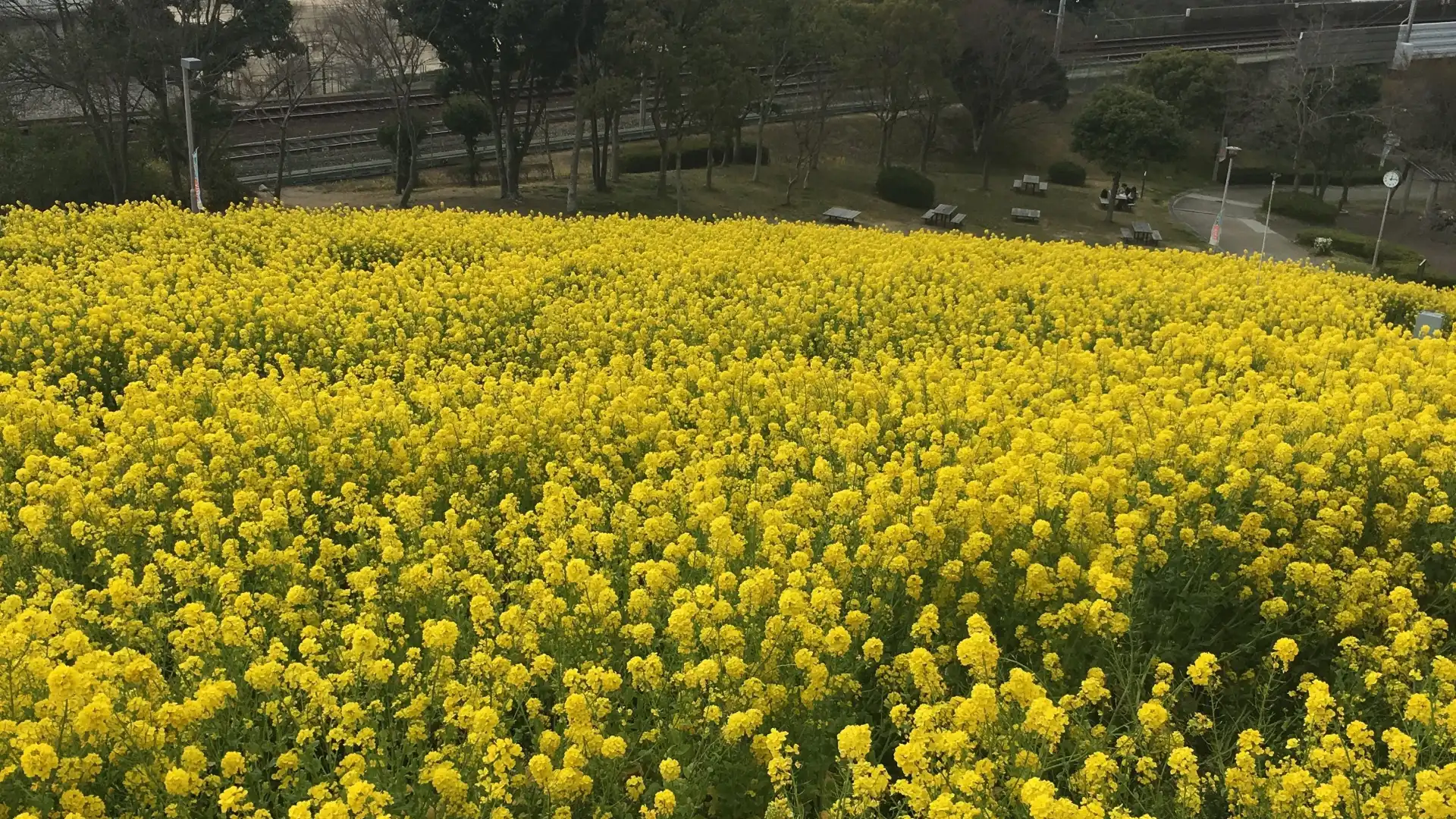 神戸総合運動公園周辺のホテル