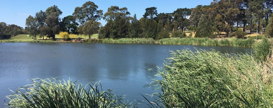 Edwardes Lake Park