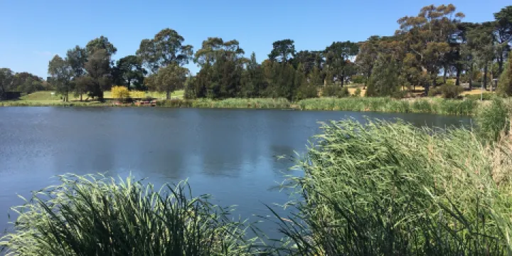 Edwardes Lake Park