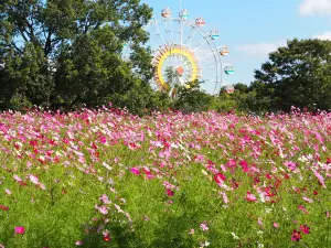Kumamoto City Zoo and Botanical Garden