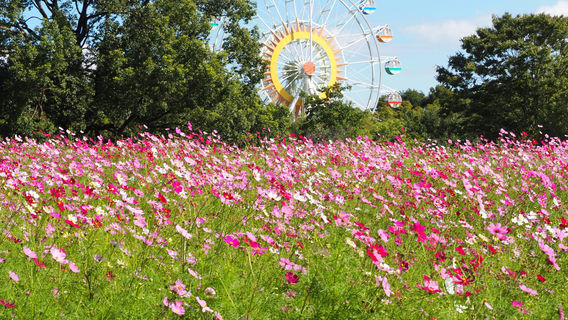 Kumamoto City Zoo and Botanical Garden