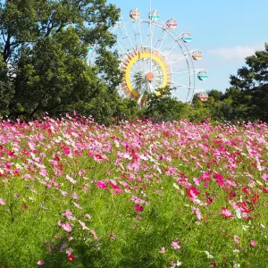 熊本市動植物園