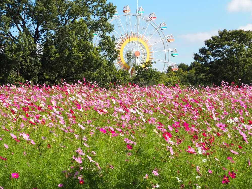 Kumamoto City Zoo and Botanical Garden
