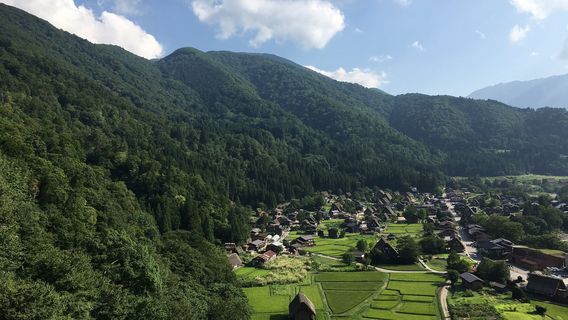 Shiroyama Tenshukaku Observation Deck