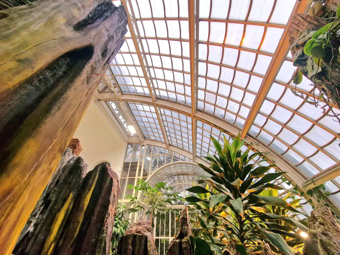 Hotel berhampiran Schmetterlinghaus