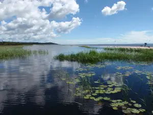 Tapajós National Forest