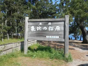 Kehi no Matsubara