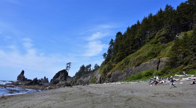 Shi Shi Beach