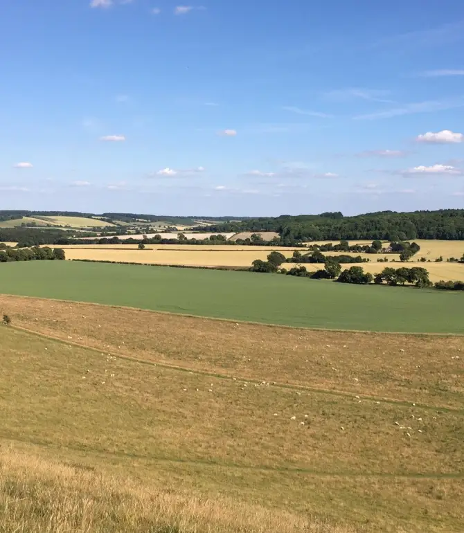 Ivinghoe