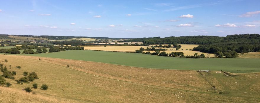 Ivinghoe