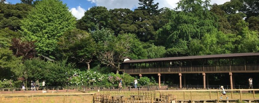Hondoji Temple