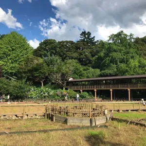 本土寺
