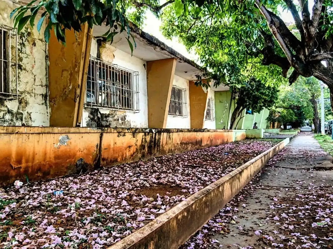 Hotels near Gazcue