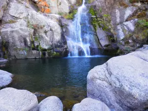 Salto De La Moneda