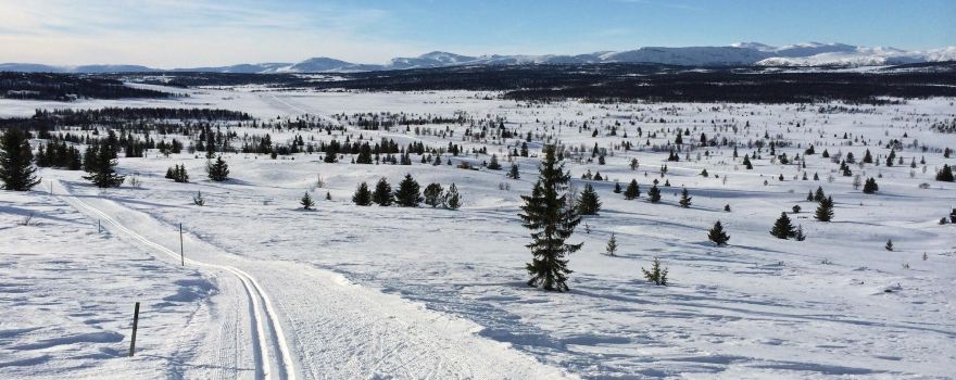 Gala Ski Arena