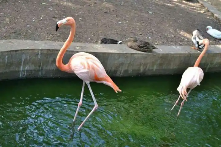 Các khách sạn gần Complejo Parque Zoológico Ciego de Ávila