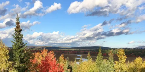 Terra Beata Cranberries