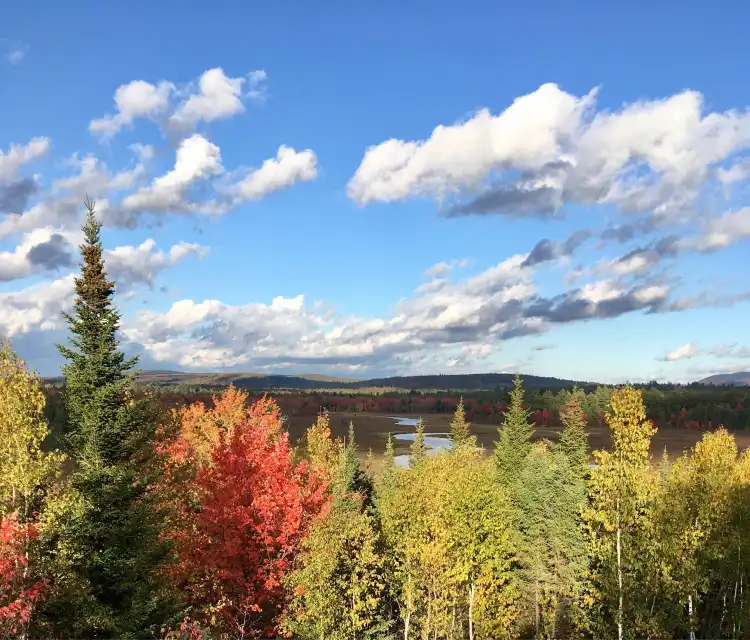 Best Western Plus Hotels in Lunenburg County