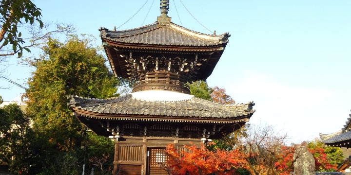 Anaoji