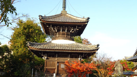 Anaoji