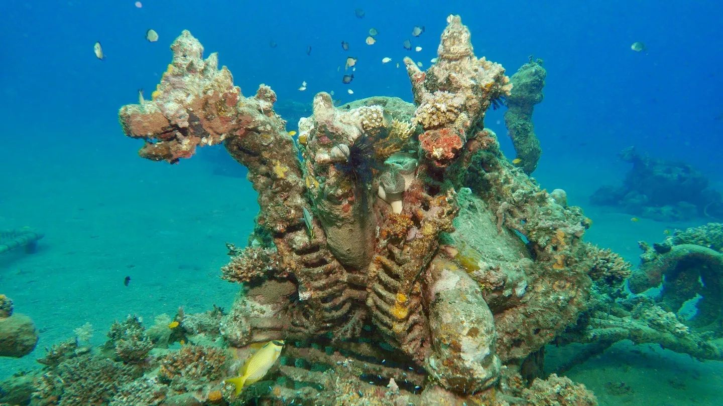 4_Biorock Pemuteran bali