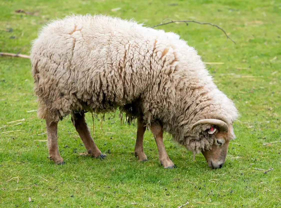 Hotel in zona Reaseheath Zoo