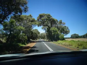 Caves Road